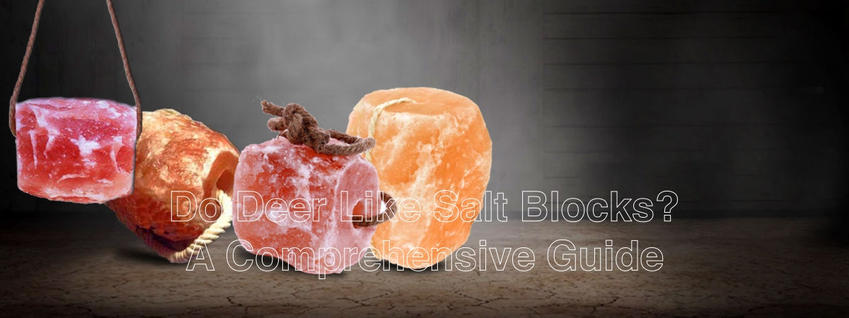 Animal Salt Licks
