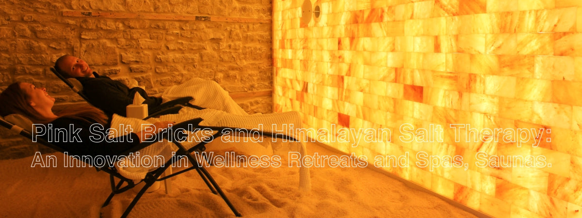 Pink Salt Bricks and Himalayan Salt Therapy - Himalayan Salterz