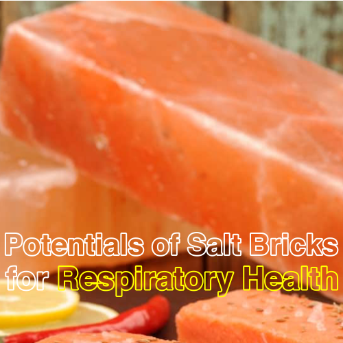 potentials of Himalayan salt bricks for respiratory health