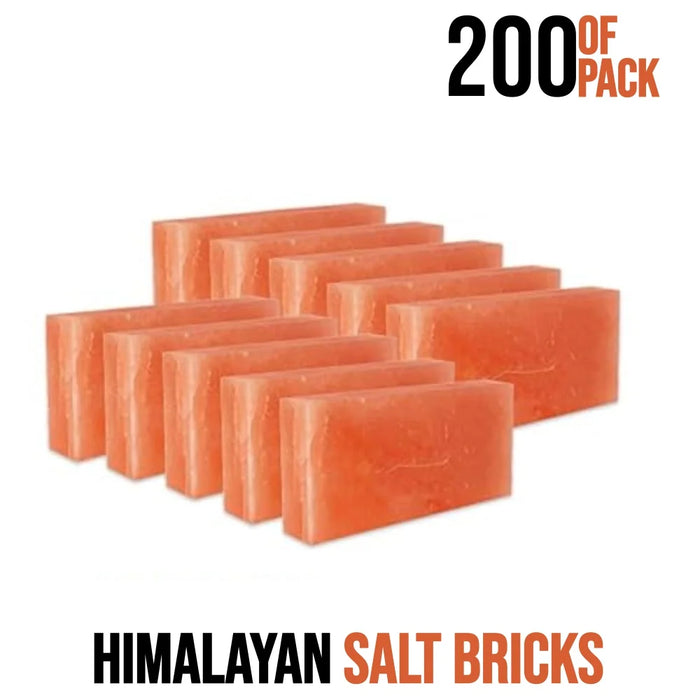 Himalayan salt bricks