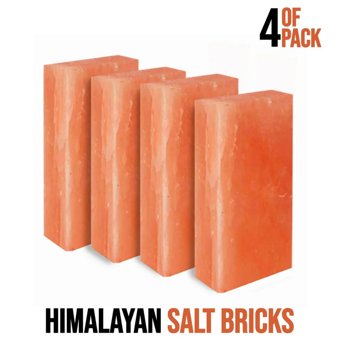 Himalayan Salt Bricks