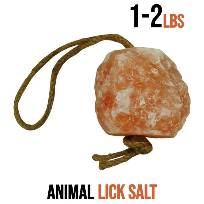 salt lick for deer