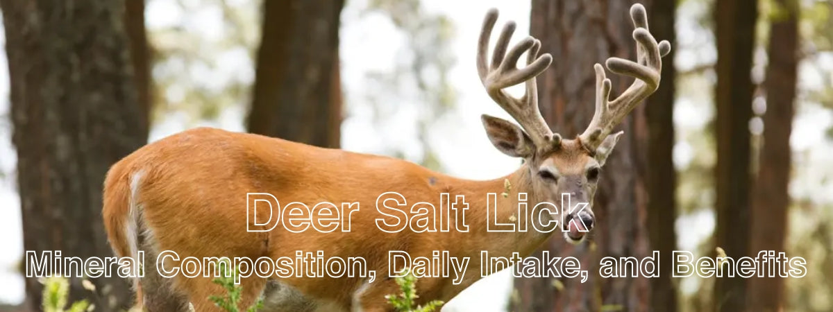 Deer salt lick