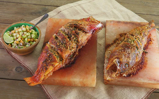 Himalayan salt block