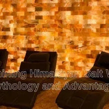 Himalayan_Salt_Wall_-_Himalayan_Salterz