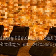 Himalayan_Salt_Wall_-_Himalayan_Salterz