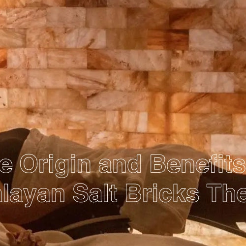 Himalayan salt bricks therapy benefits - Himalayan salterz