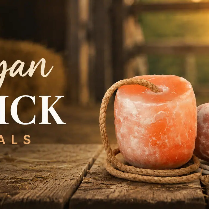 Himalayan salt lick for animals - Himalayan Salterz