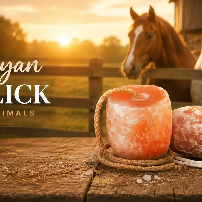 Himalayan salt lick for Horses - Himalayan Salterz 