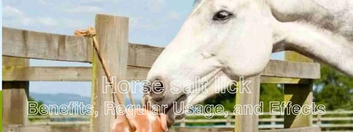 Horse salt lick: Health Benefits, Regular Usage, and Effects