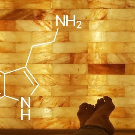 Salt Bricks for serotonin boosting - Himalayan Salterz