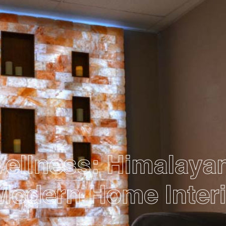 Warmth and Wellness Himalayan Salt Bricks in Modern Home Interiors