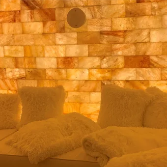 Himalayan Salt Bricks 