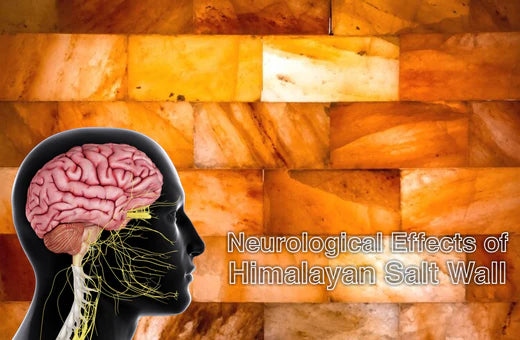 effects of salt wall on mental health