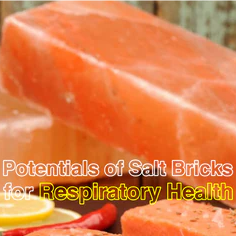 potentials_of_Himalayan_salt_bricks_for_respiratory_health