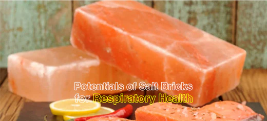 potentials_of_Himalayan_salt_bricks_for_respiratory_health