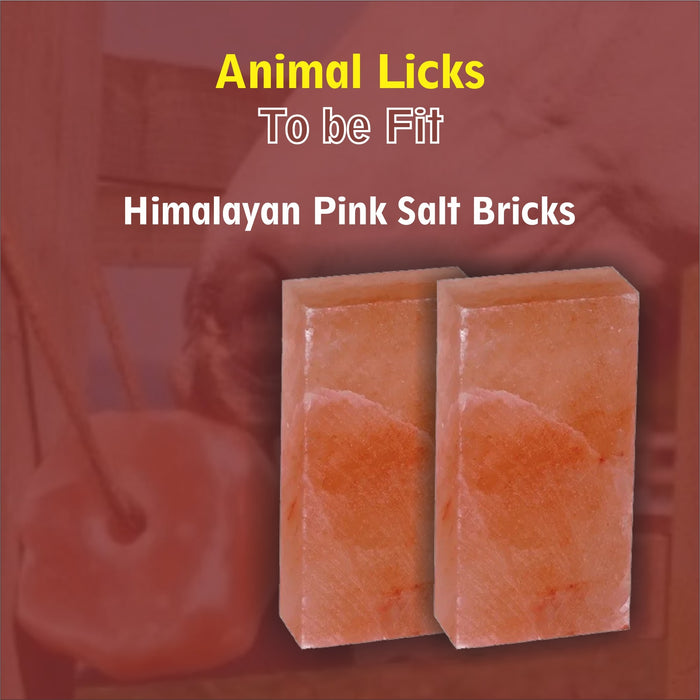Why salt brick is best for animals?