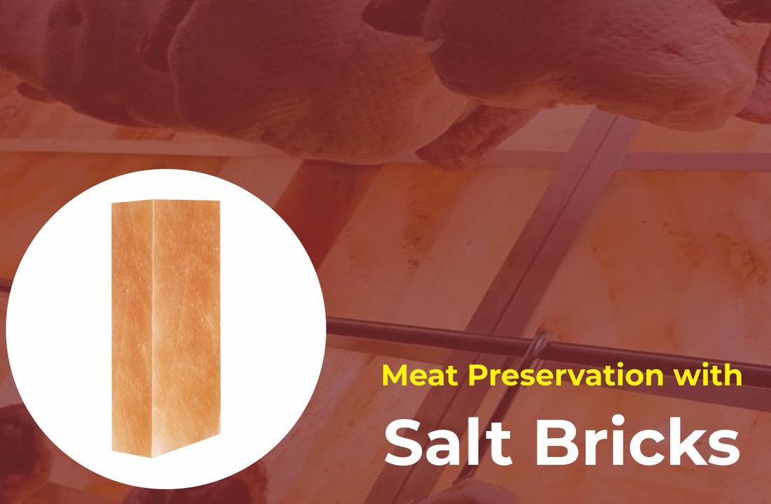 salt bricks for meat preservation