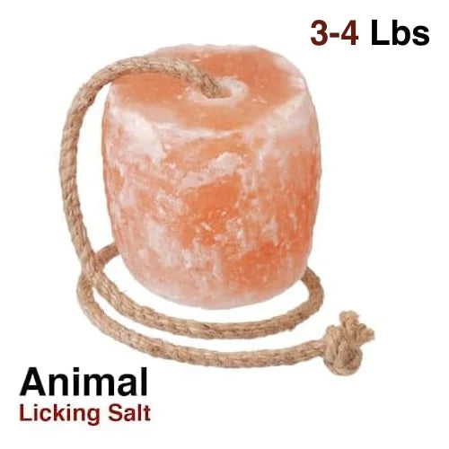 Lick salt block