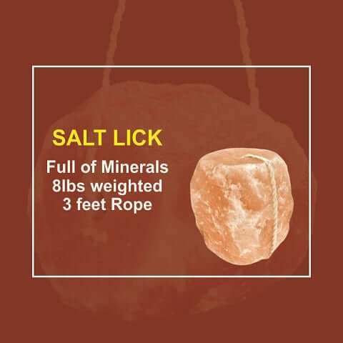 licking salt block - Himalayan Salterz