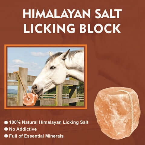 Animal Mineral Salt Lick Block 5-6 lbs