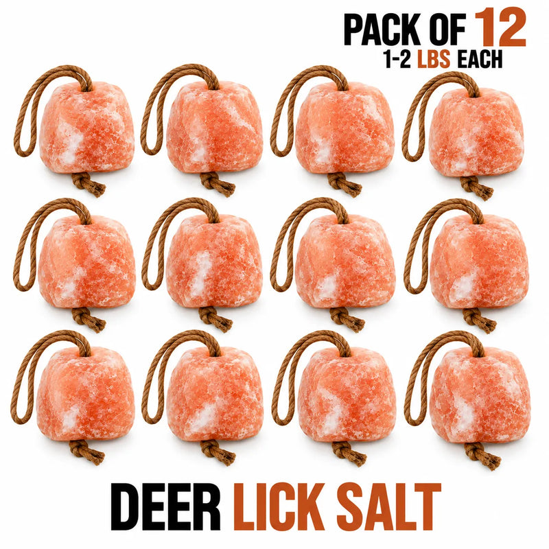 Himalayan lick salt block for deer pack of 12
