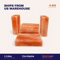 Himalayan Salt Bricks For Wall 8" x 4" x 2" - Wholesale Prices