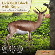 salt lick for deer