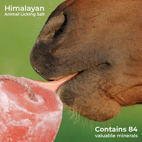 Himalayan Salt Lick 1KG – Natural Mineral Block For Horses, Cattle, Livestock, Deer, Goats