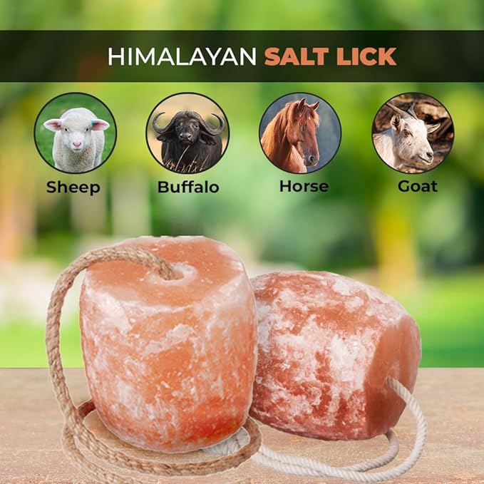 mineral salt lick block - Himalayan Salterz
