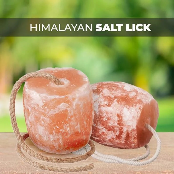 Natural Himalayan Salt Lick Blocks - 4-5 Lbs Each, 2-Pack For Deer, Horses & Farm Animals