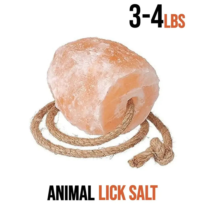 SALT LICK FOR HORSE