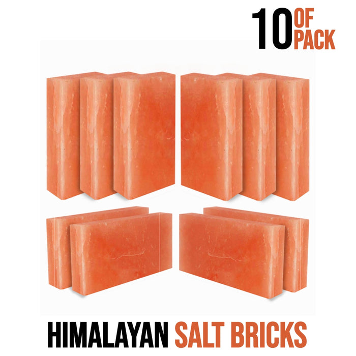 Himalayan Salt Bricks - Himalayan Salterz