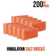 Himalayan Salt Bricks - Himalayan Salterz