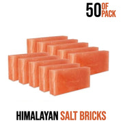 Himalayan Salt Bricks