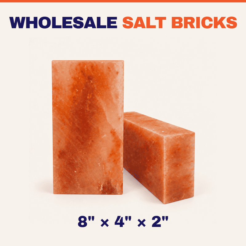 Himalayan Salt Bricks 8" x 4" x 2" - Pack 400