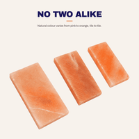 Himalayan Salt Tiles For Wall 8" x 4" x 1" - Wholesale Prices