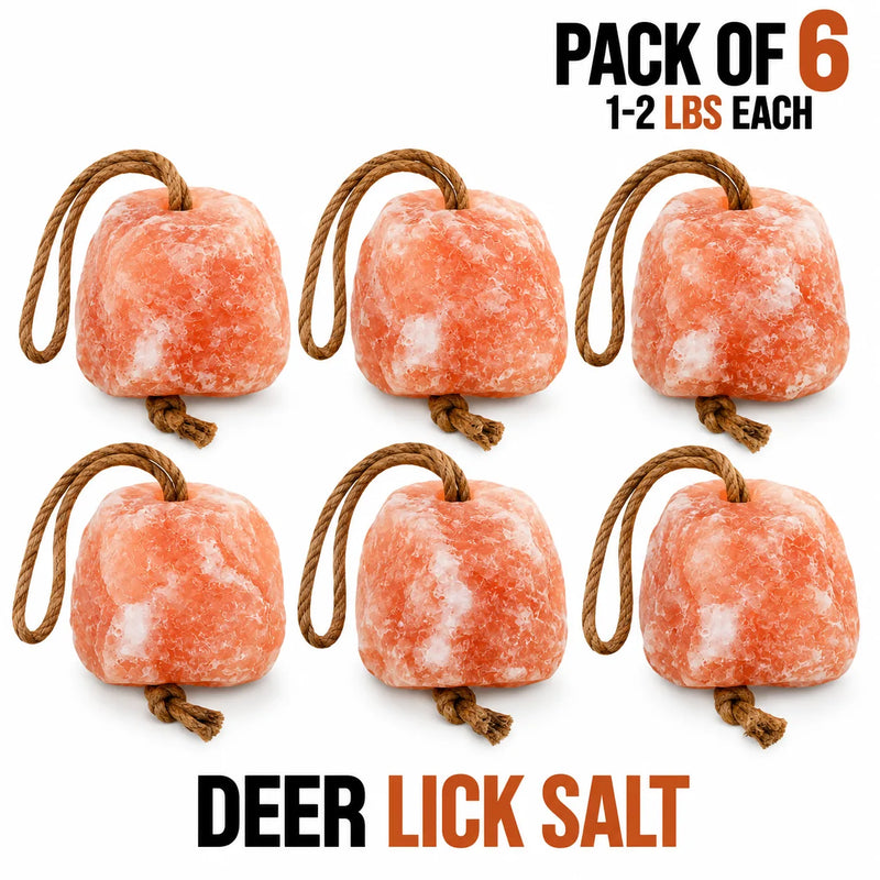 Himalayan deer salt lick block pack of 6