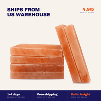 Himalayan Salt Tiles For Wall 8" x 4" x 1" - Wholesale Prices
