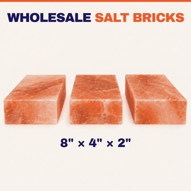 Himalayan Salt Bricks 8" x 4" x 2" - Pack 400