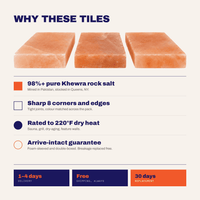 Himalayan Salt Tiles For Wall 8" x 4" x 1" - Wholesale Prices