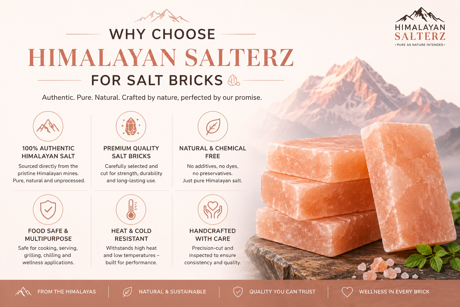 why choose himalayan salterz for salt bricks.png